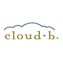 Logo - Cloud b
