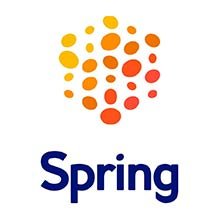 Logo - Spring Delivery Solutions
